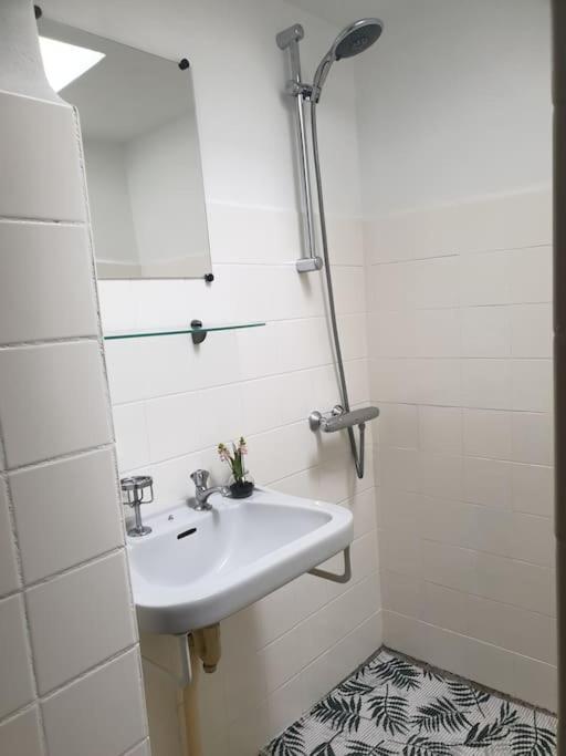 Erve Immink Villa Daarle Bagian luar foto